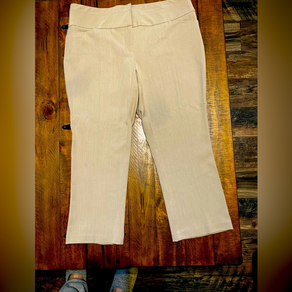 Capri dress pants